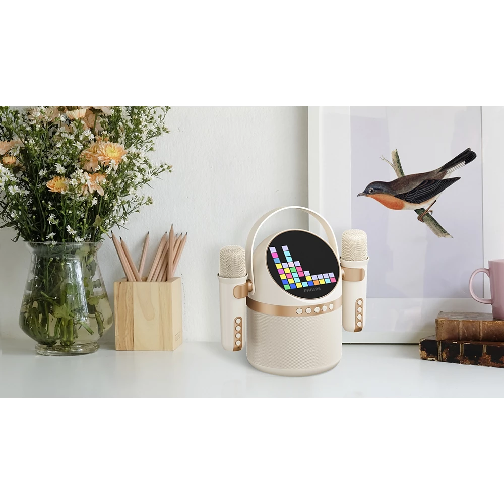 Wireless speaker (TAS2508WT/37)