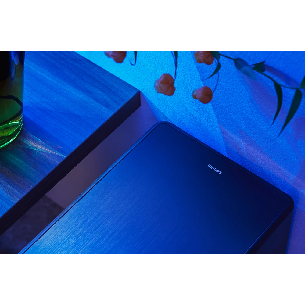 Fidelio Wireless subwoofer (TAFW1/37)
