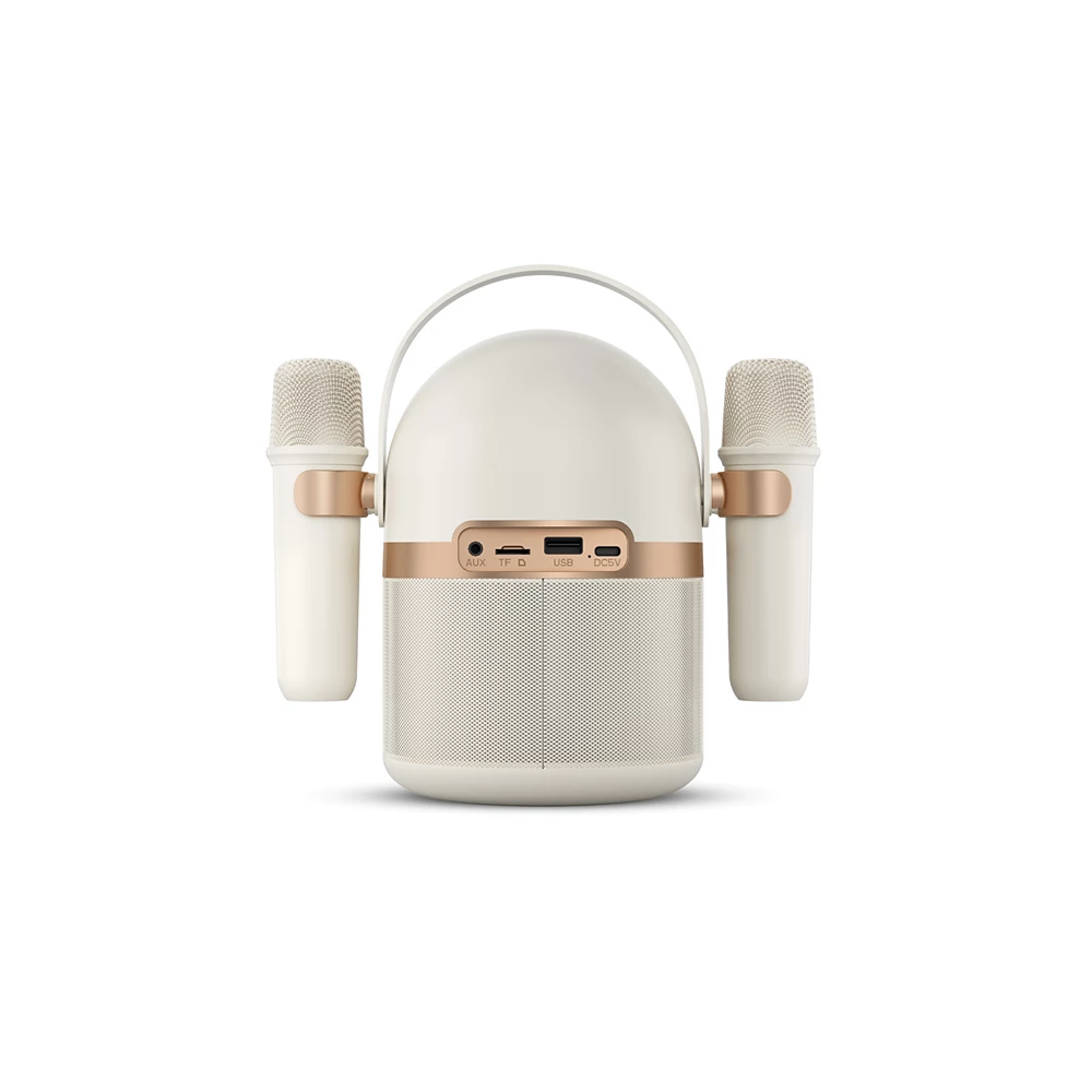 Wireless speaker (TAS2508WT/37)