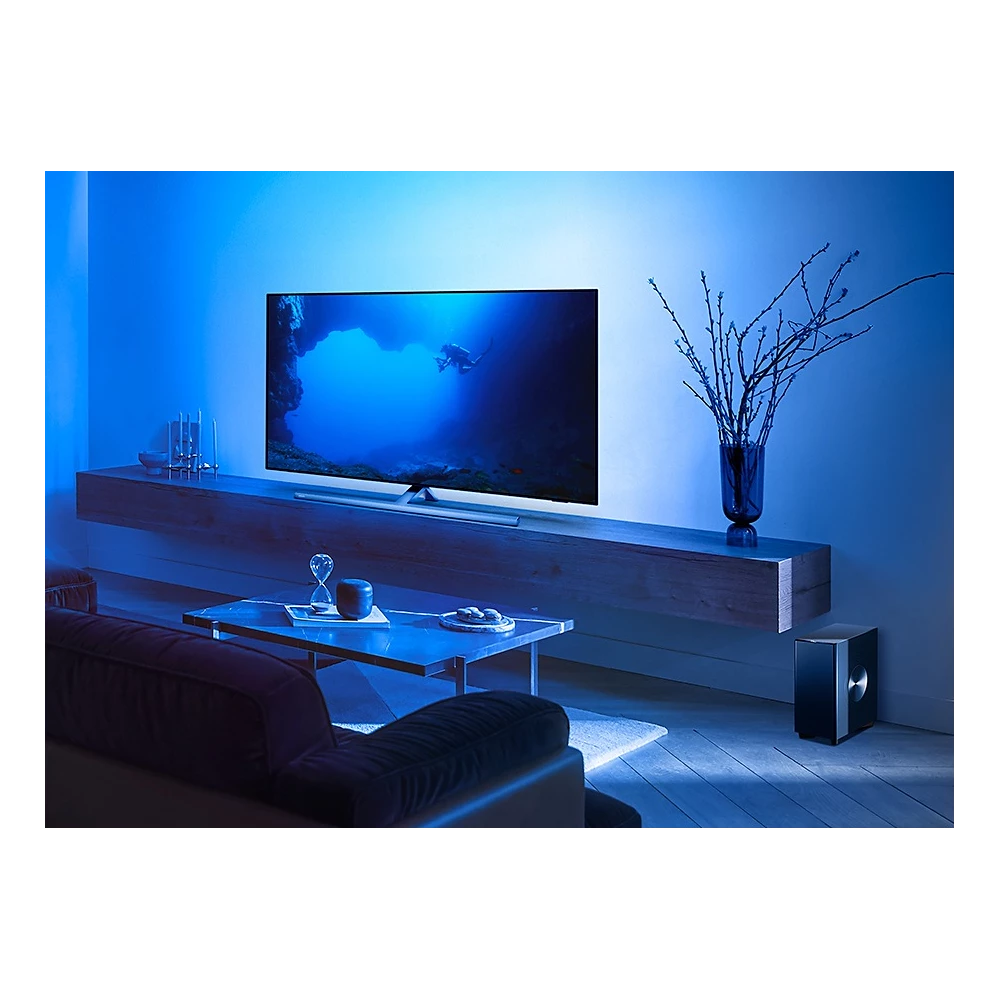 Fidelio Wireless subwoofer (TAFW1/37)