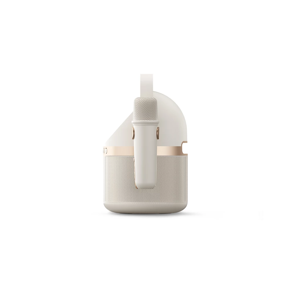 Wireless speaker (TAS2508WT/37)